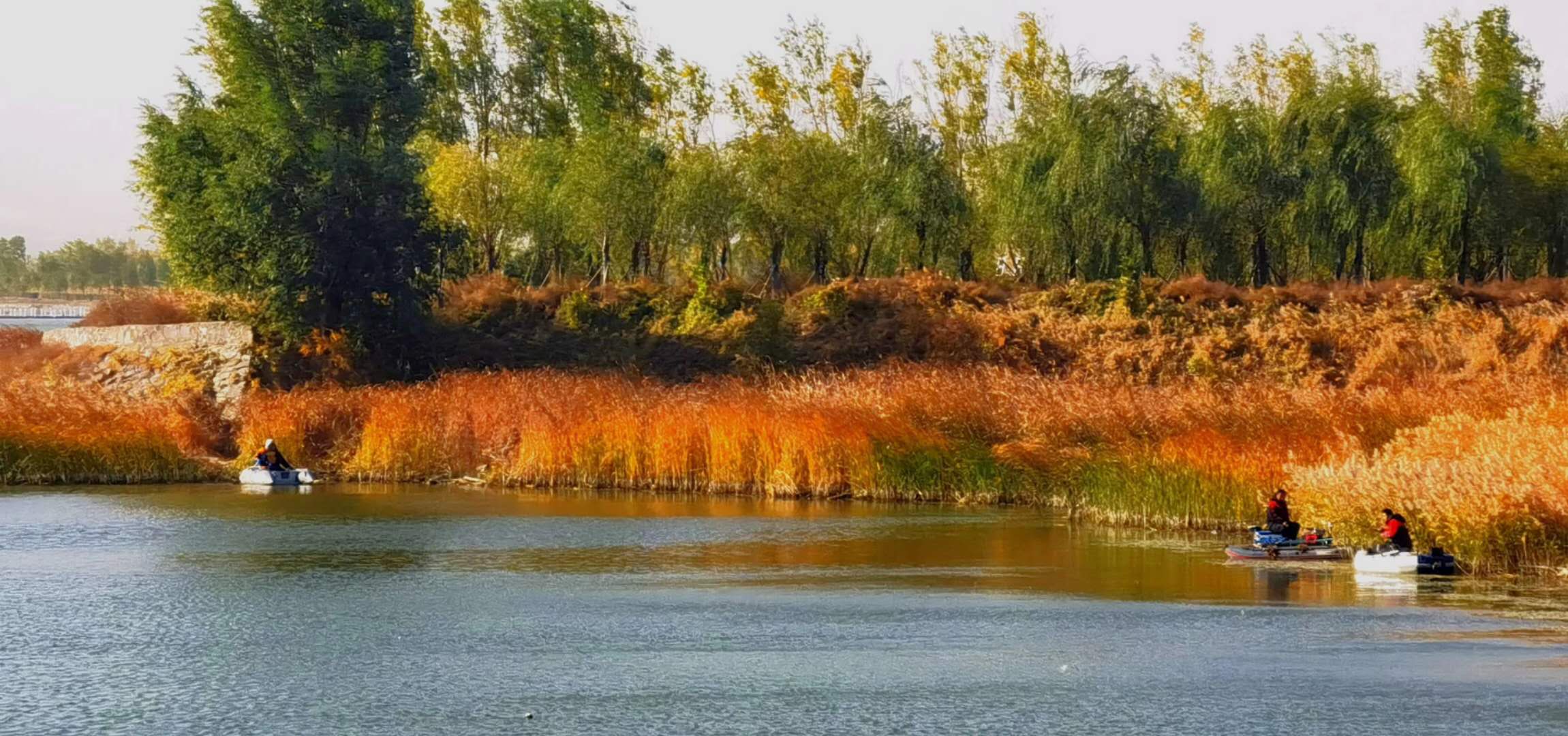 怀来沙城湿地公园图片