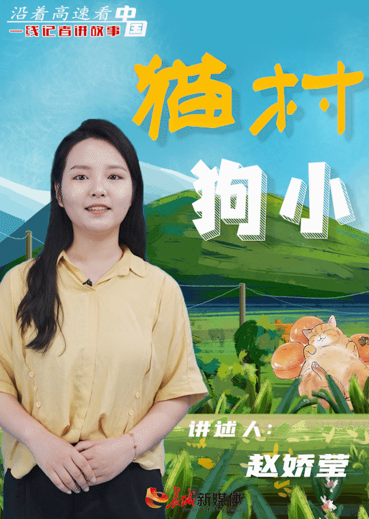 海报