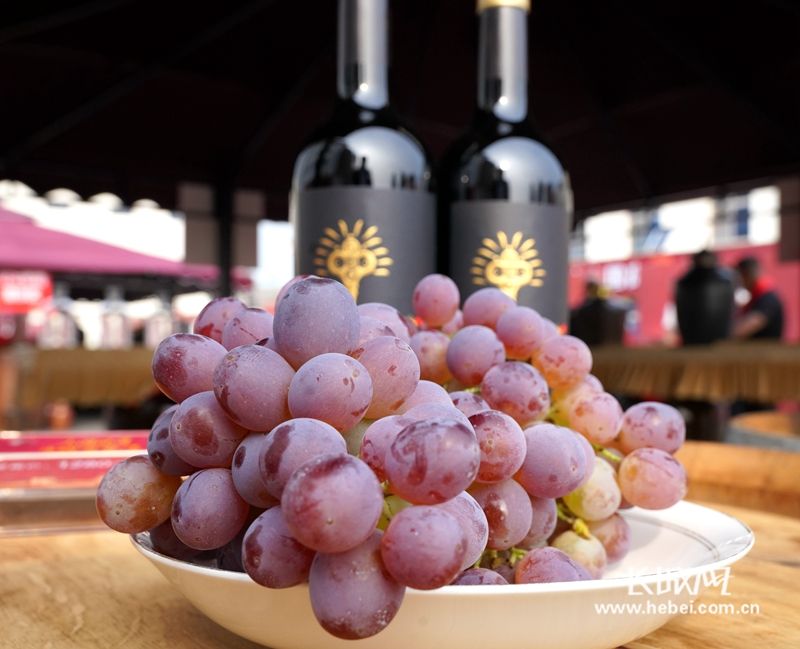 微信图片_20210912173949_副本