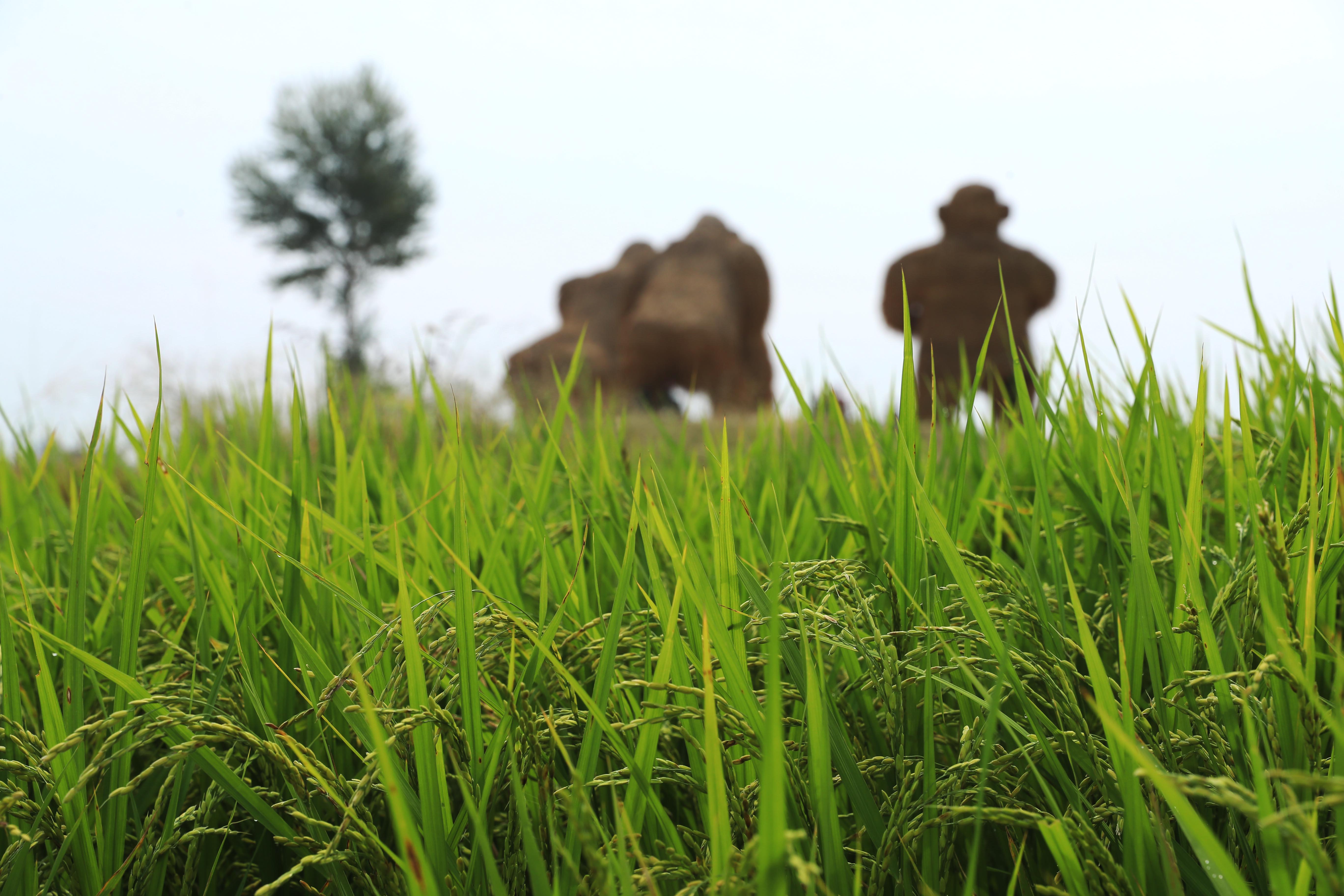 1646482605574019679.jpg 433b2a3011a8f462df7c7de2c7b6956f_614312b1f3e8f191f3703caa.jpg