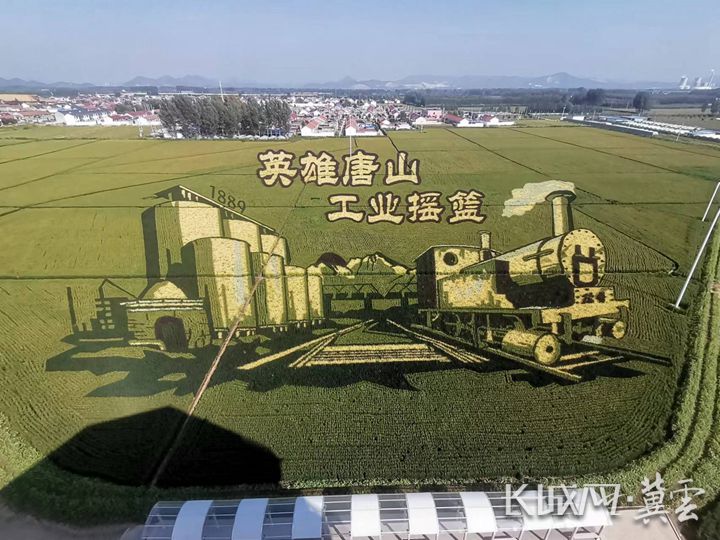 遵化市山里各庄村稻田画。李国红 摄_副本