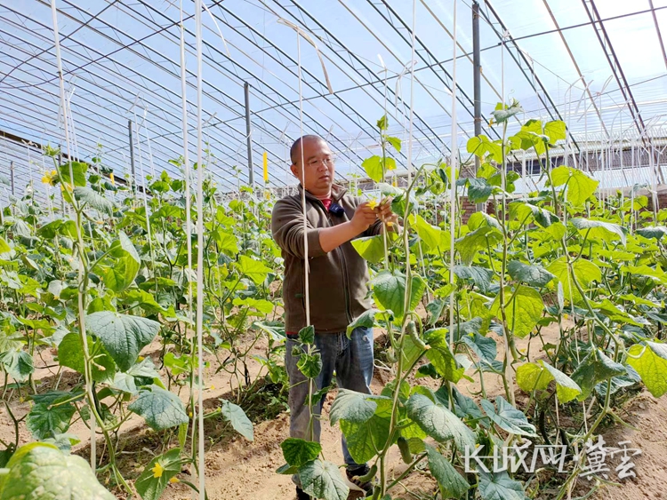 致富农村致富网致富门路_致富农村值得的句子_农村致富经