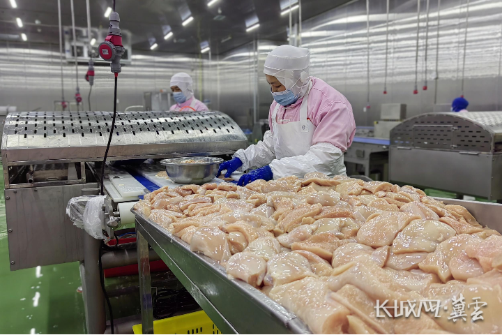 玖兴食品工人在速冻调制食品生产线上工作。通讯员 梁洁 摄