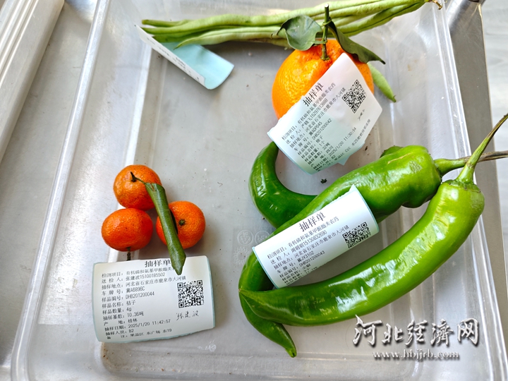 抽检样品
