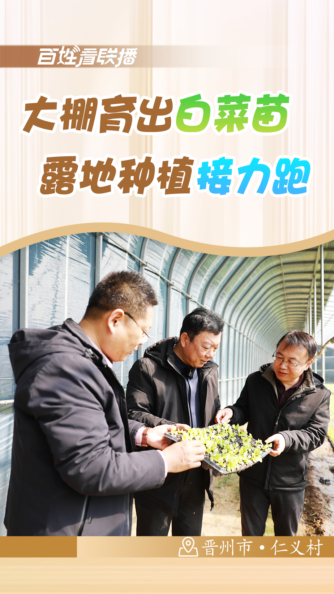 百姓看联播 | 大棚育出白菜苗 露地种植“接力跑”