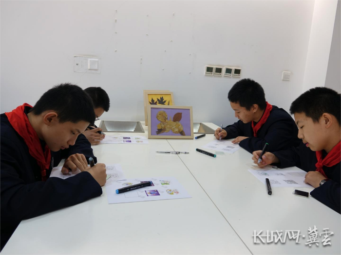 图片3