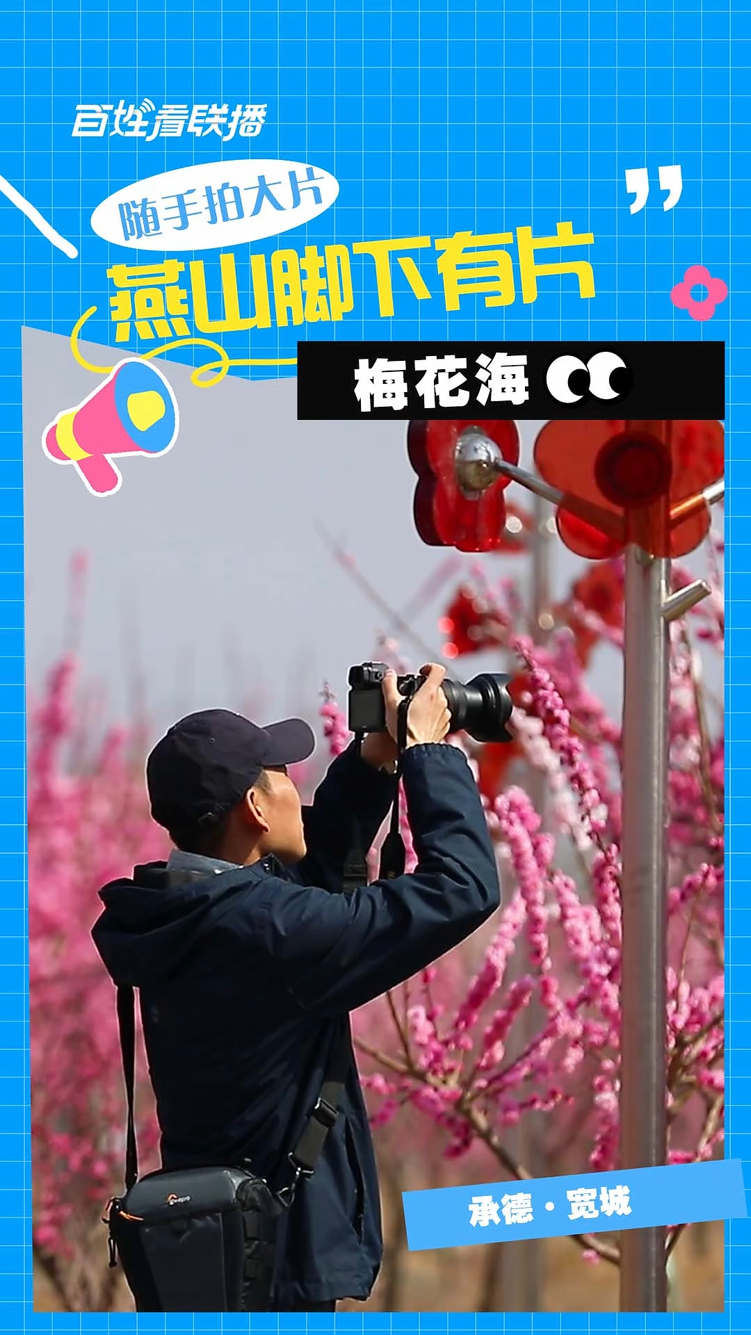 百姓看聯播丨隨手拍大片！燕山腳下有片“梅花海”