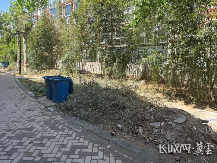 邢台小区垃圾堆积