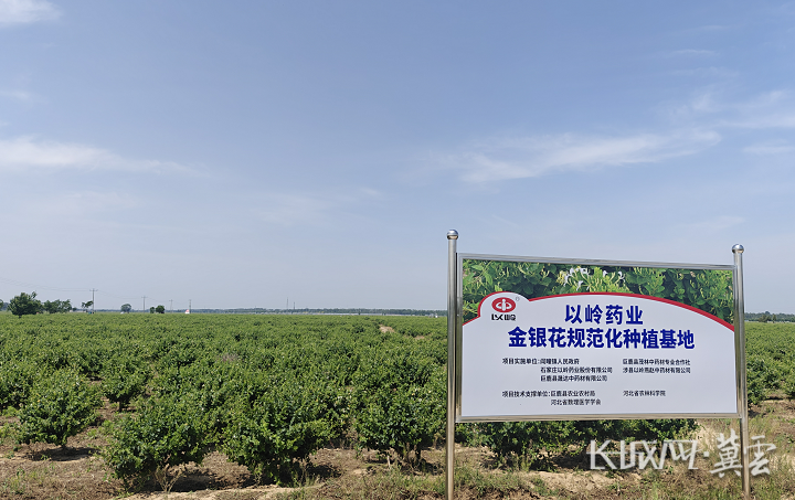 截图20250516162413.png