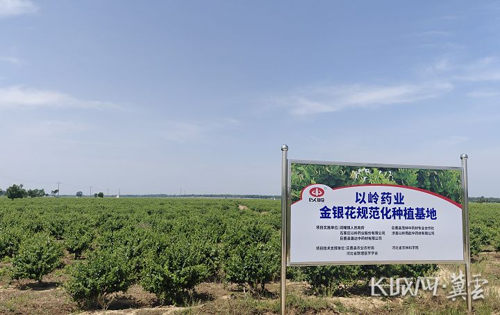 截图20250516162413.png