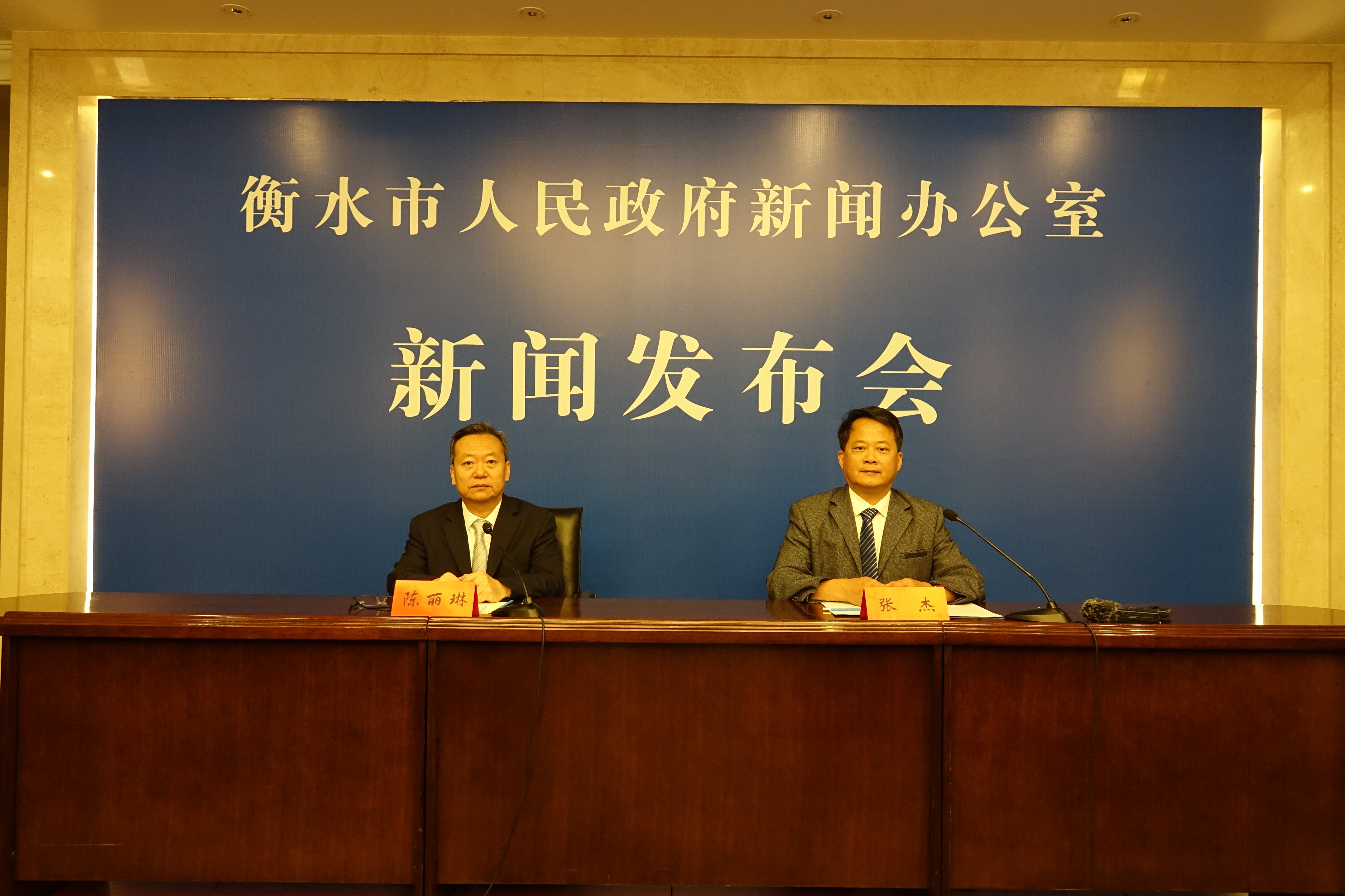 衡水市政府新闻办召开“特殊困难老年人家庭适老化改造项目进展情况”新闻发布会