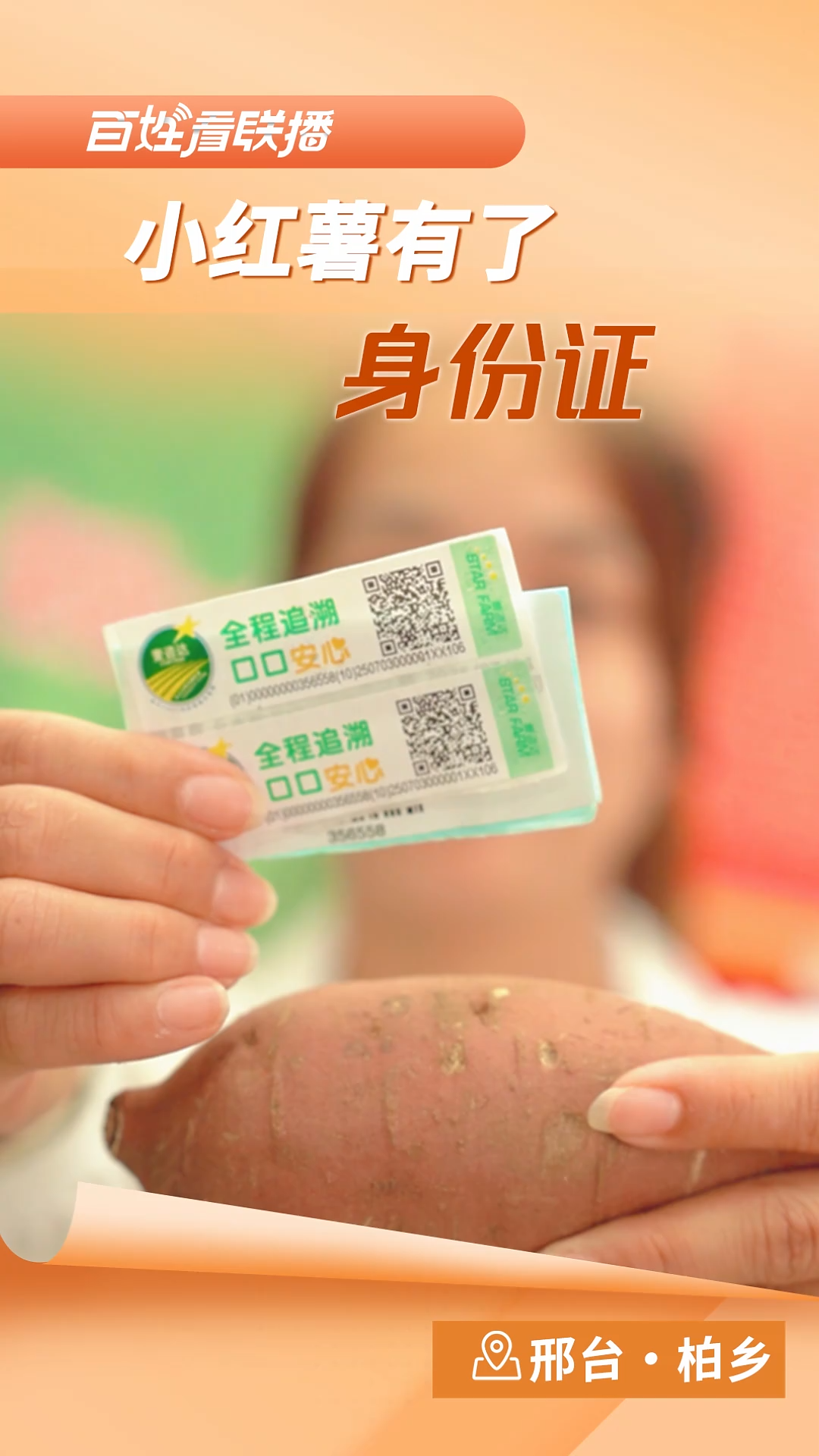 百姓看联播｜小红薯有了“身份证”