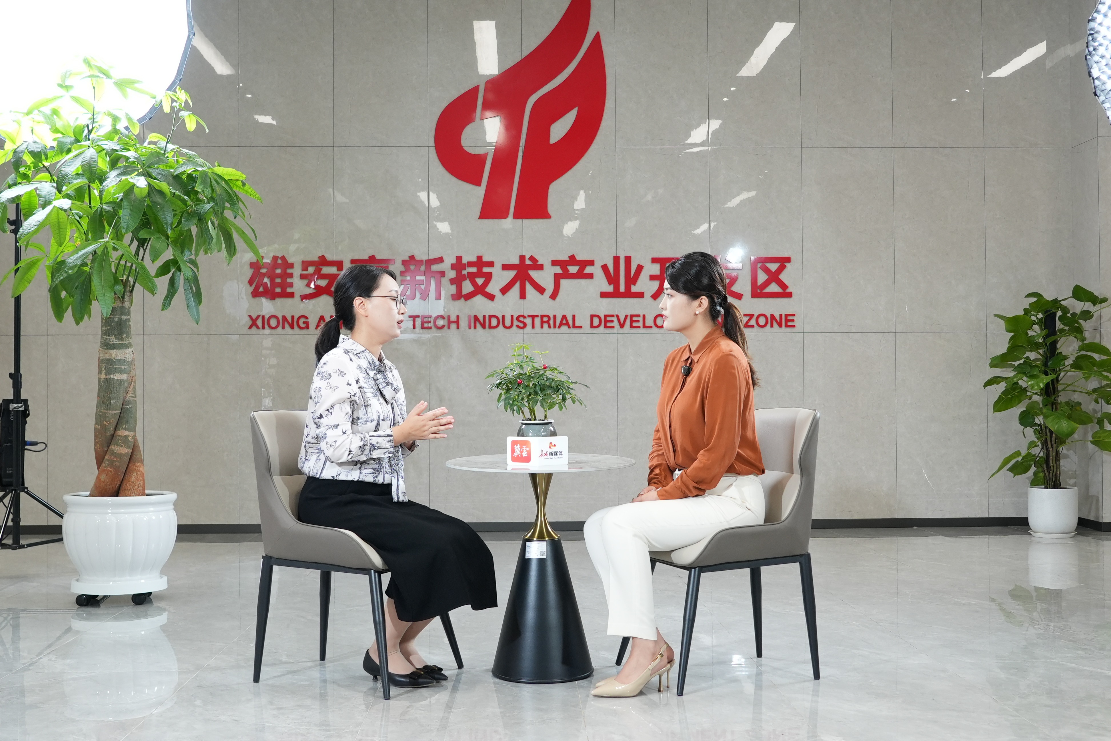 长城专访｜曹迪：雄安高新区日均2家企业注册背后的发展密码