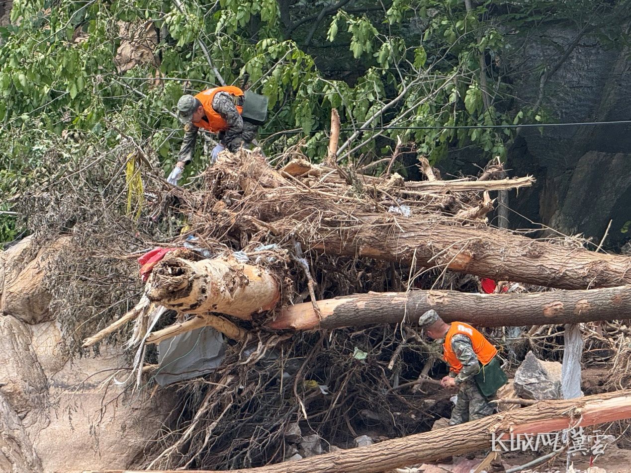 图片5