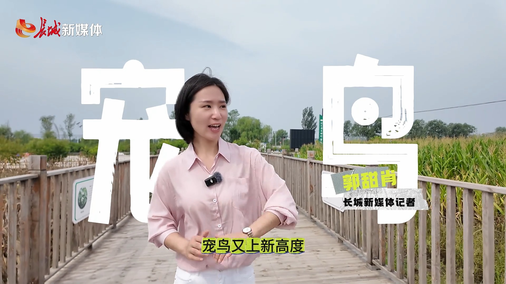 拔节生长看雄安 | 在雄安，鸟儿也被宠上天
