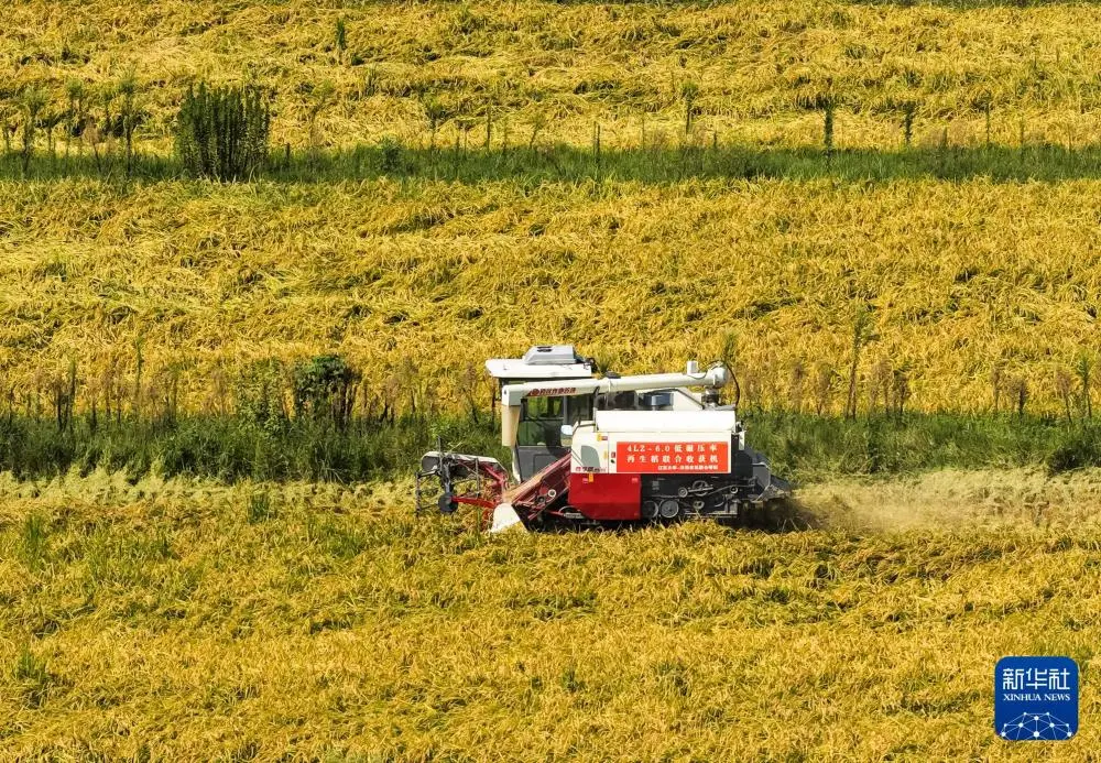 微信图片_20251014231121_76_30