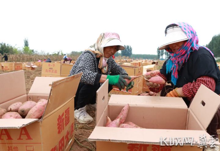 ScreenShot_2025-10-23_102314_833