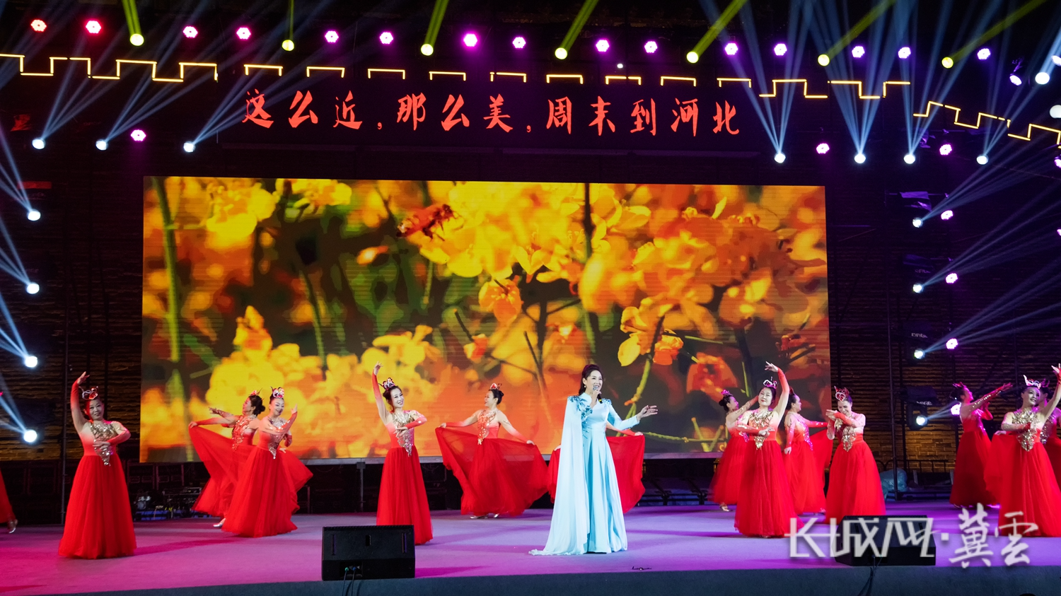 DSC05442 DSC05442