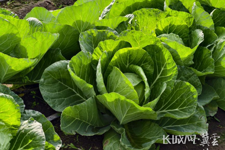 8dd57ca4e69489f0a82ff81a0c6d7ded