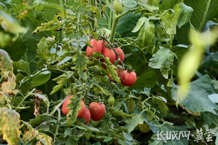 345ae4befebcca27f6824132ceccded0