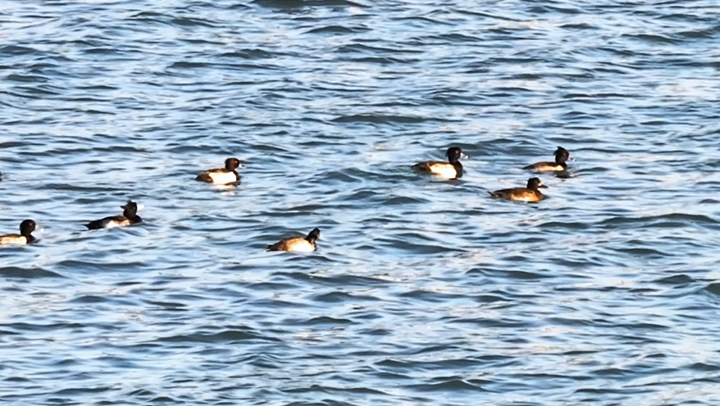 1762913493915097749.jpg f2db9df9eb7e5410b8383cdaab160a32.jpg