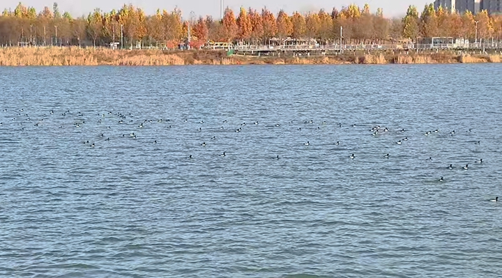 1762913507594005204.jpg 37f02967aa9998da5085bee667a8c871.jpg