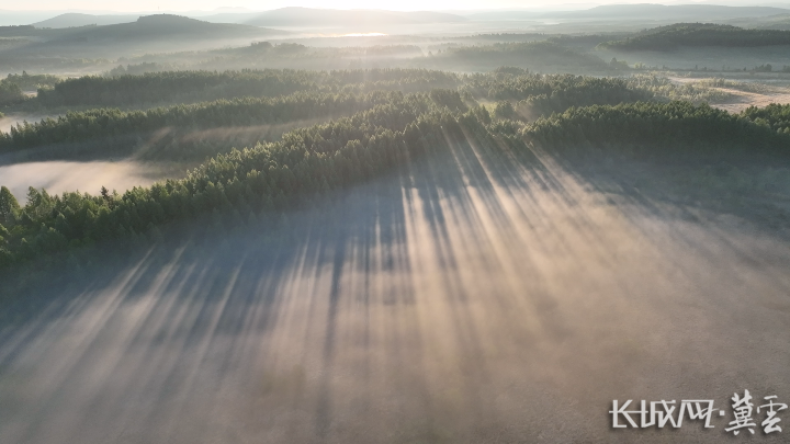 四中全会精神在基层丨一笔点“碳”成“金”的生态账