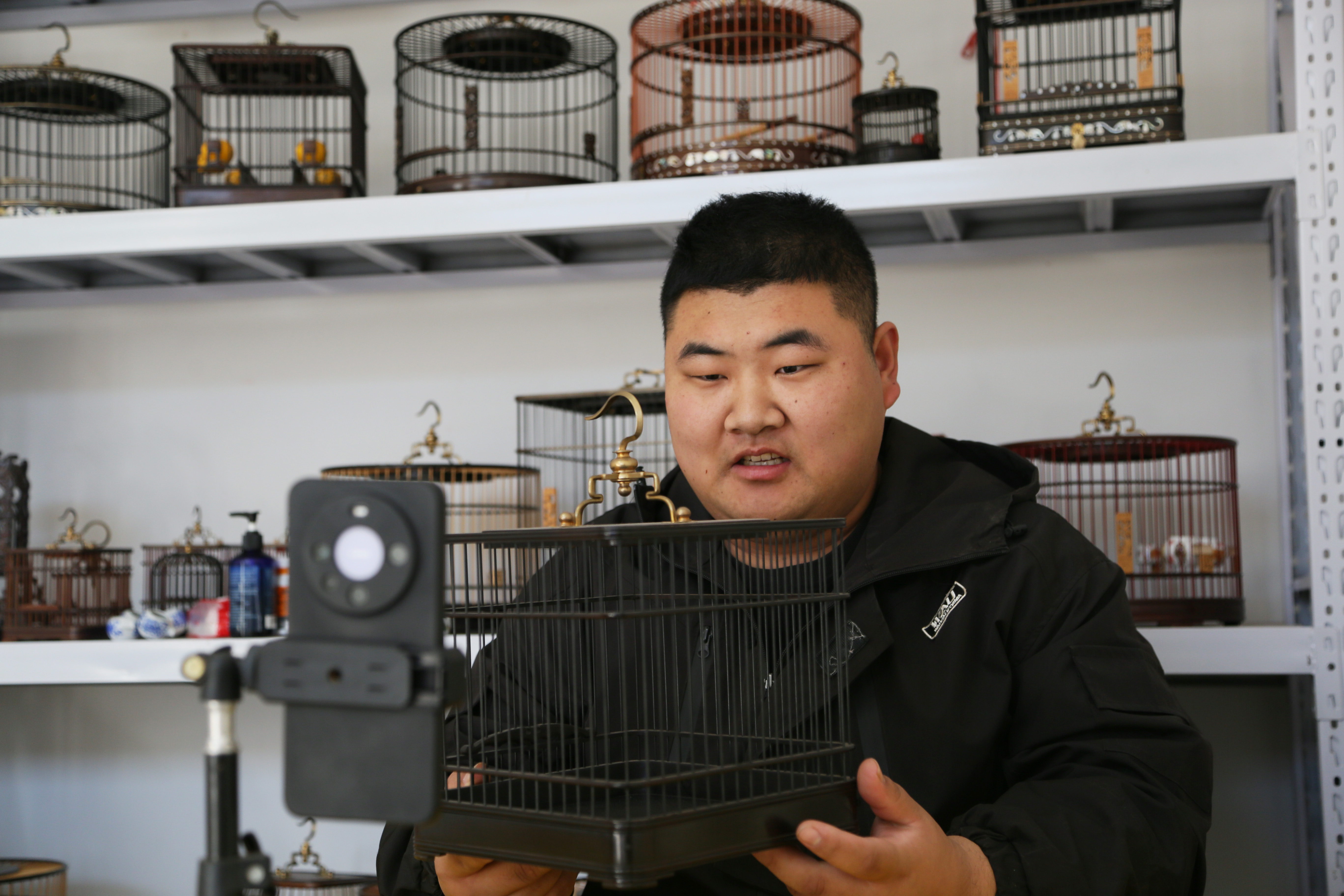 廊坊大城：红木鸟笼“飞”出农家院