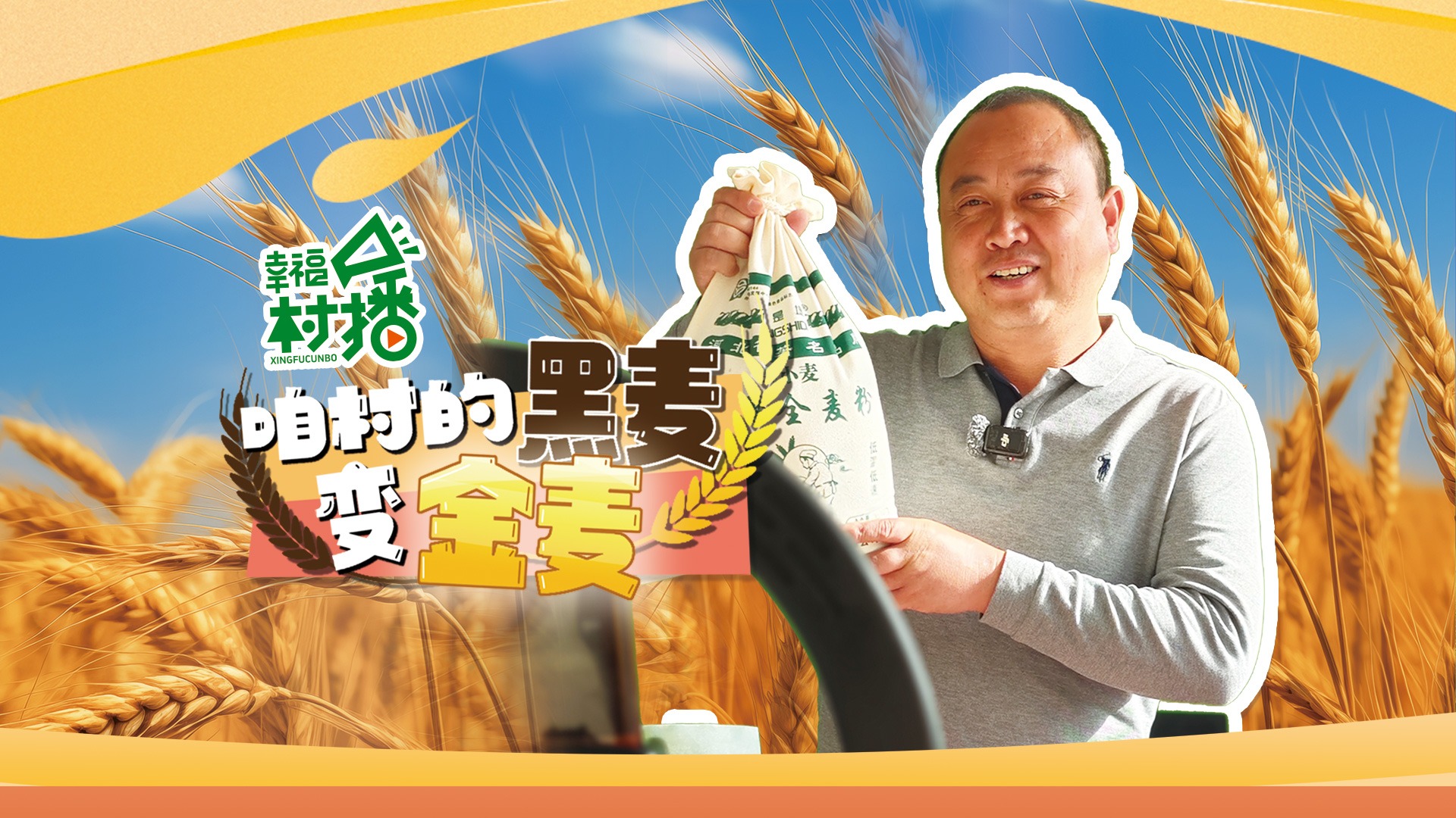 幸福生活开村播 | 咱村的黑麦变“金”麦