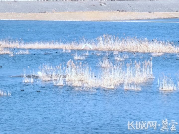 微信图片_20251230223409_307_5_副本