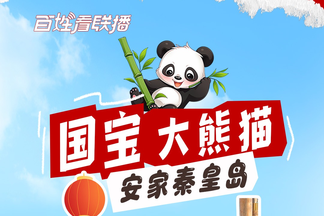 百姓看联播丨国宝大熊猫安家秦皇岛