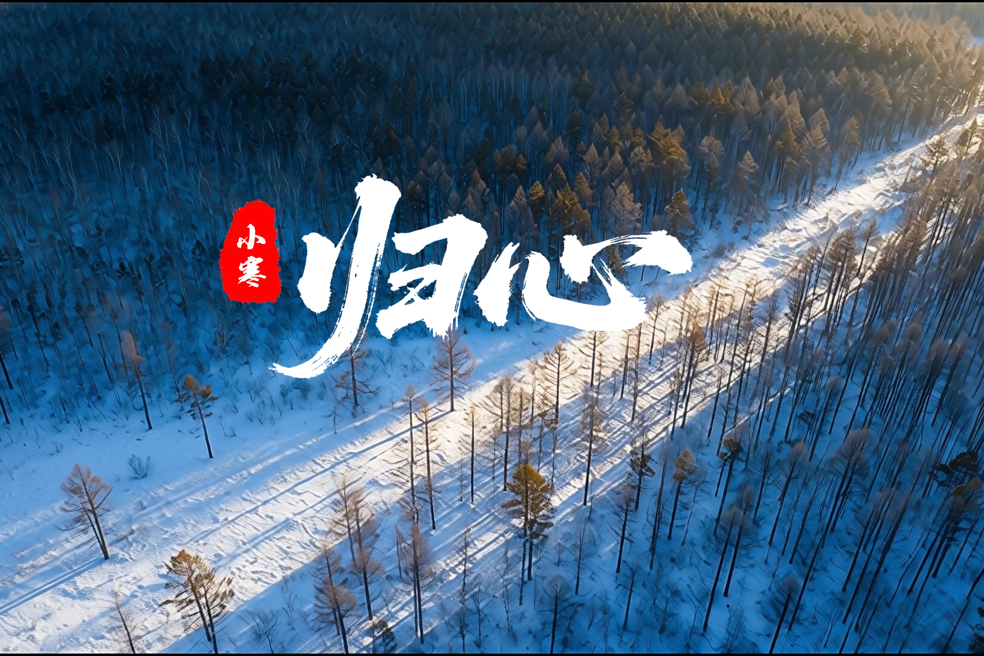 AI视频丨小寒·归心