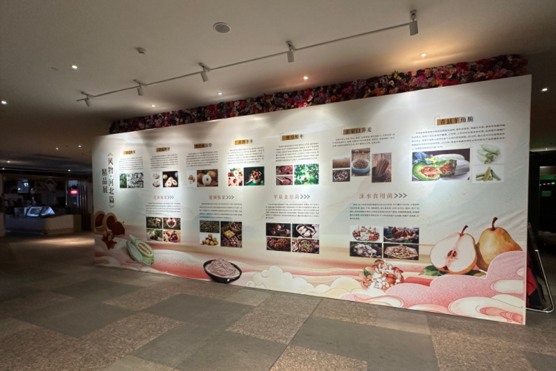 高清组图丨《风物·河北篇》线下精品展