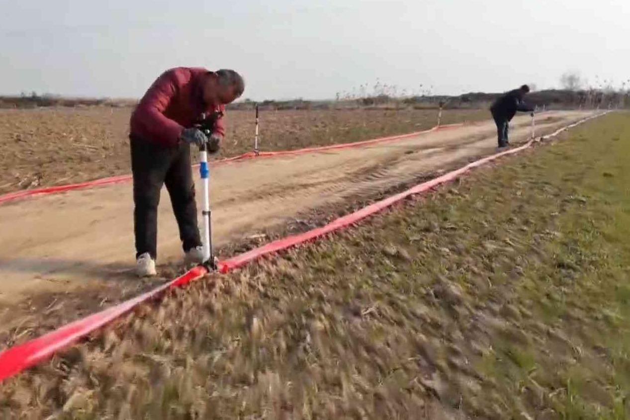 武邑县：稳面积提单产增总产 筑牢粮食安全屏障