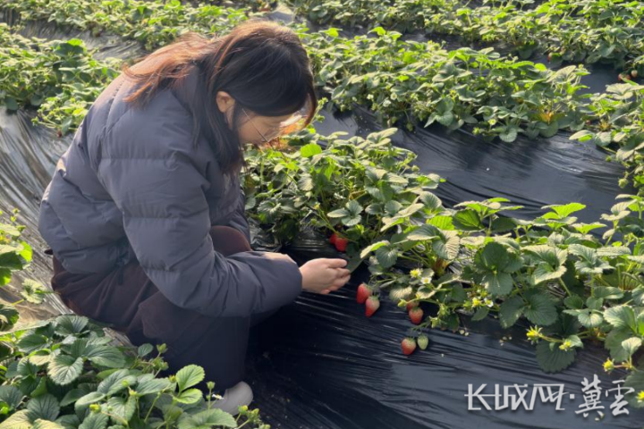 b9ccb560d64df5a596f70cd446c9eda5