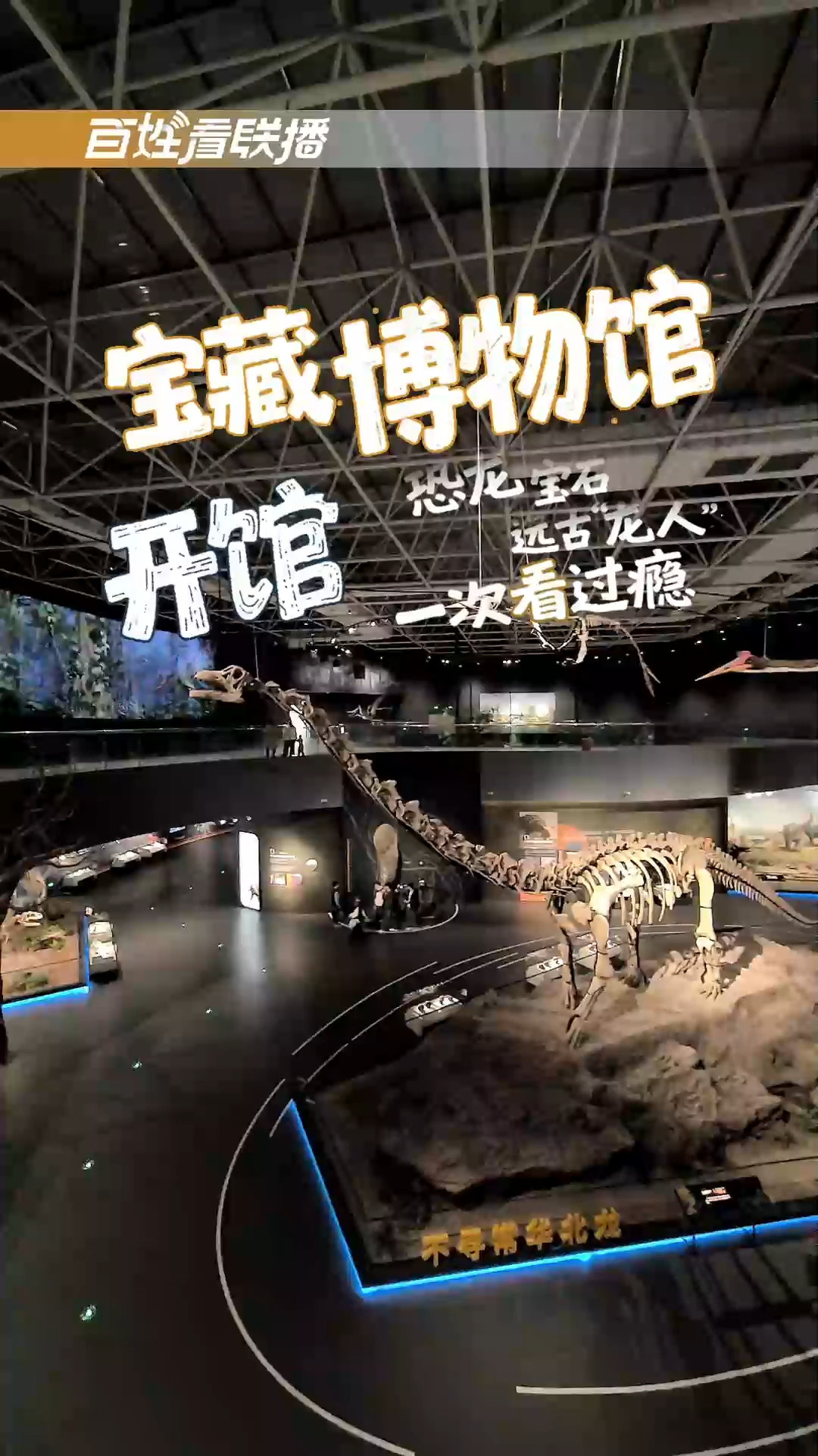百姓看联播丨宝藏博物馆开馆！恐龙、宝石、远古“龙人”一次看过瘾