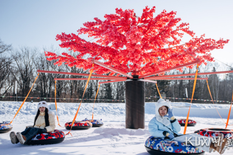 2026廊坊国际年货节冰雪专场邀您共赴冬日之约