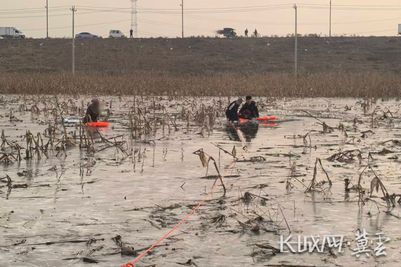 906d1ba0a752264cb16e6ade57b0914a