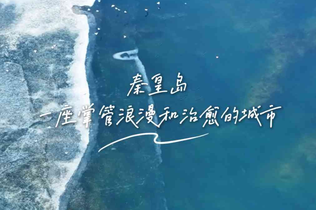 一见钟“秦”丨寒江戏羽 生命自有暖意