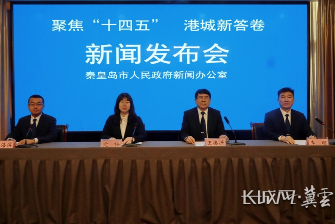 秦皇岛“十四五”营商环境与数据工作成绩斐然