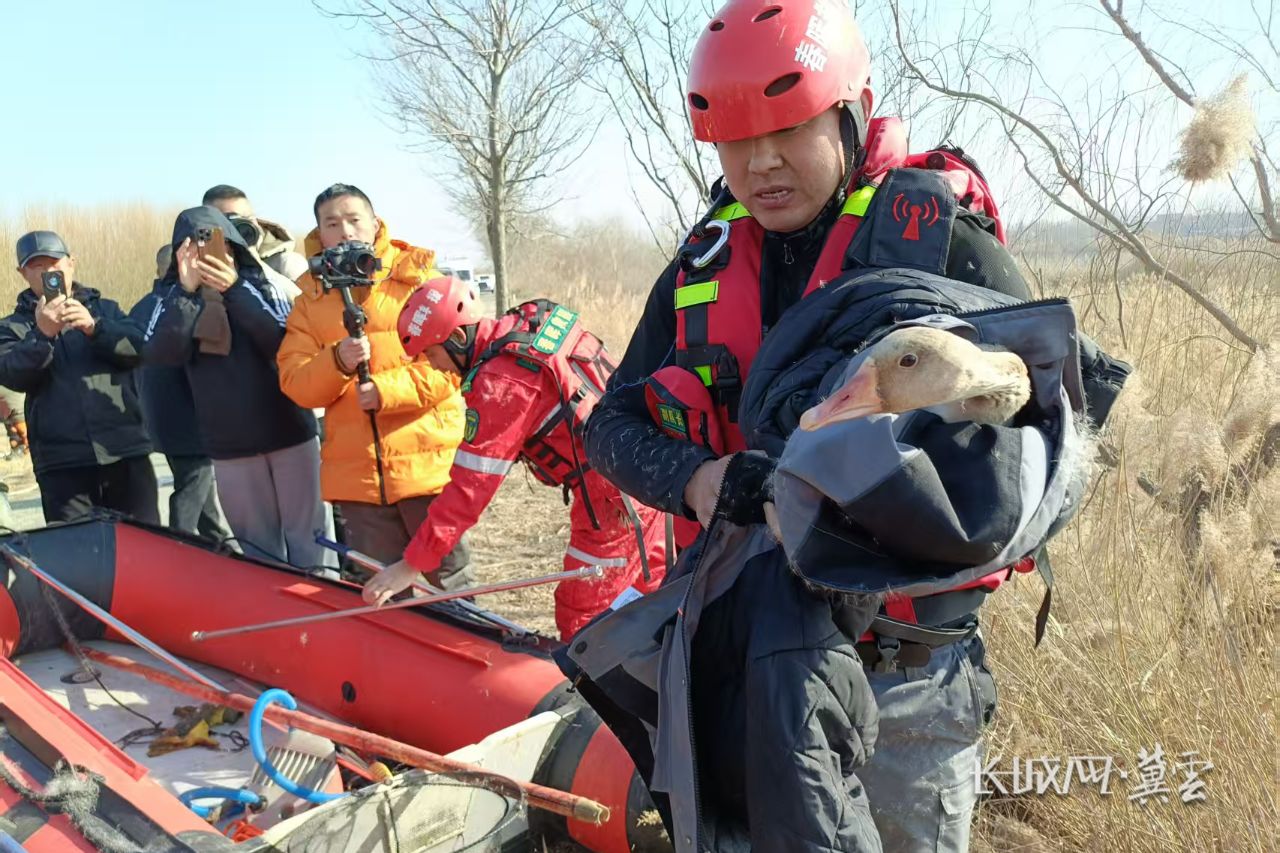 2d46c5f2c68e503e126a34a9102cb27e