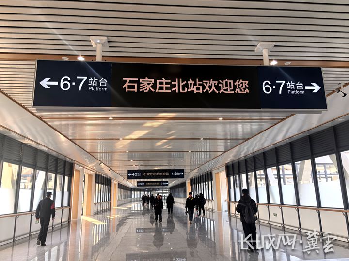 微信图片_20260123124437_295_98_副本