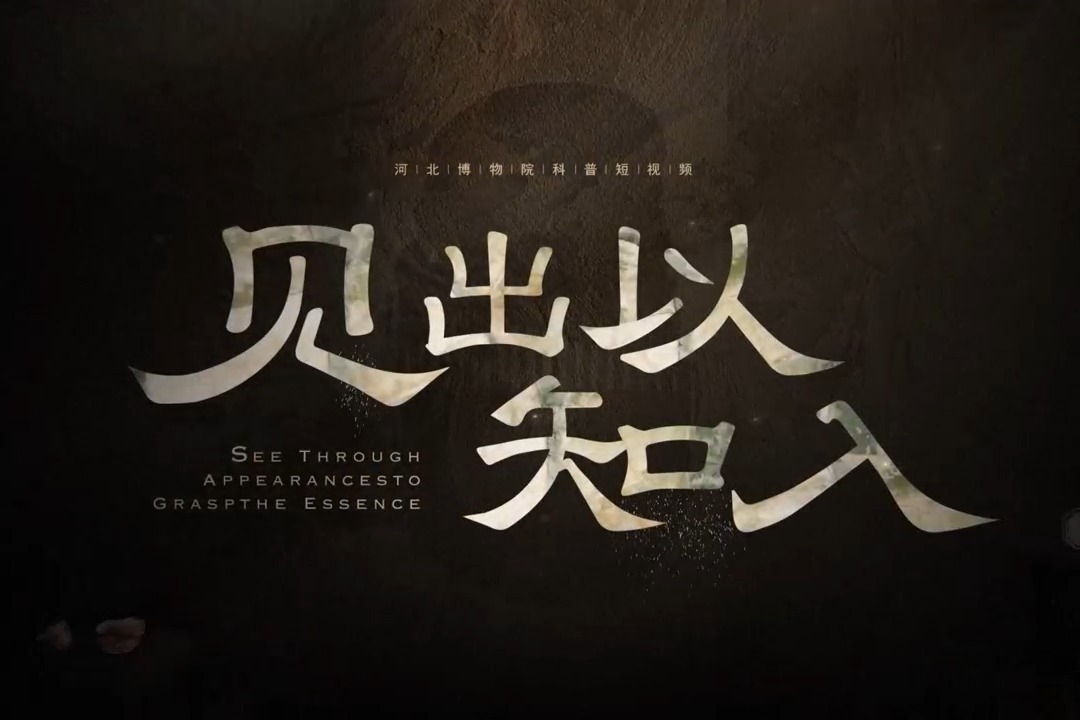 【见出以知入】科普短视频（第七、八集）