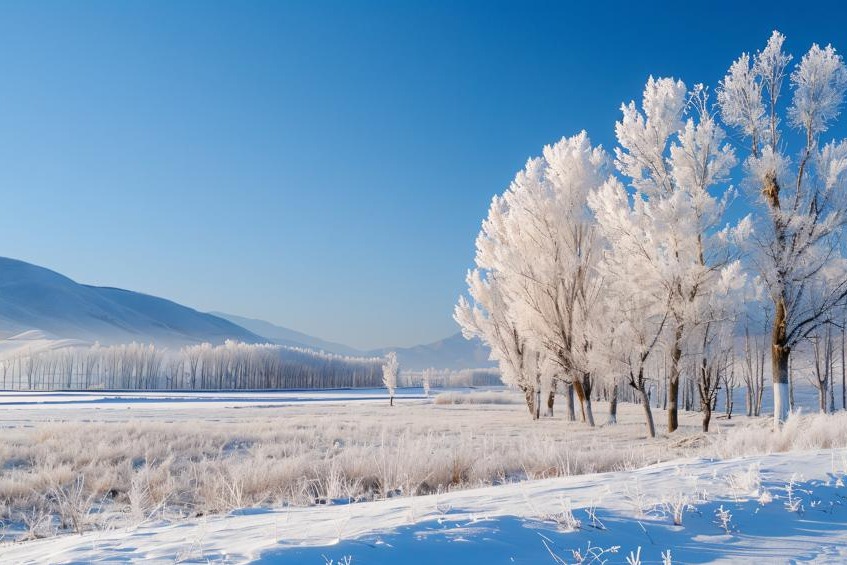 雪天路滑 这份冬季防骨折指南请收好