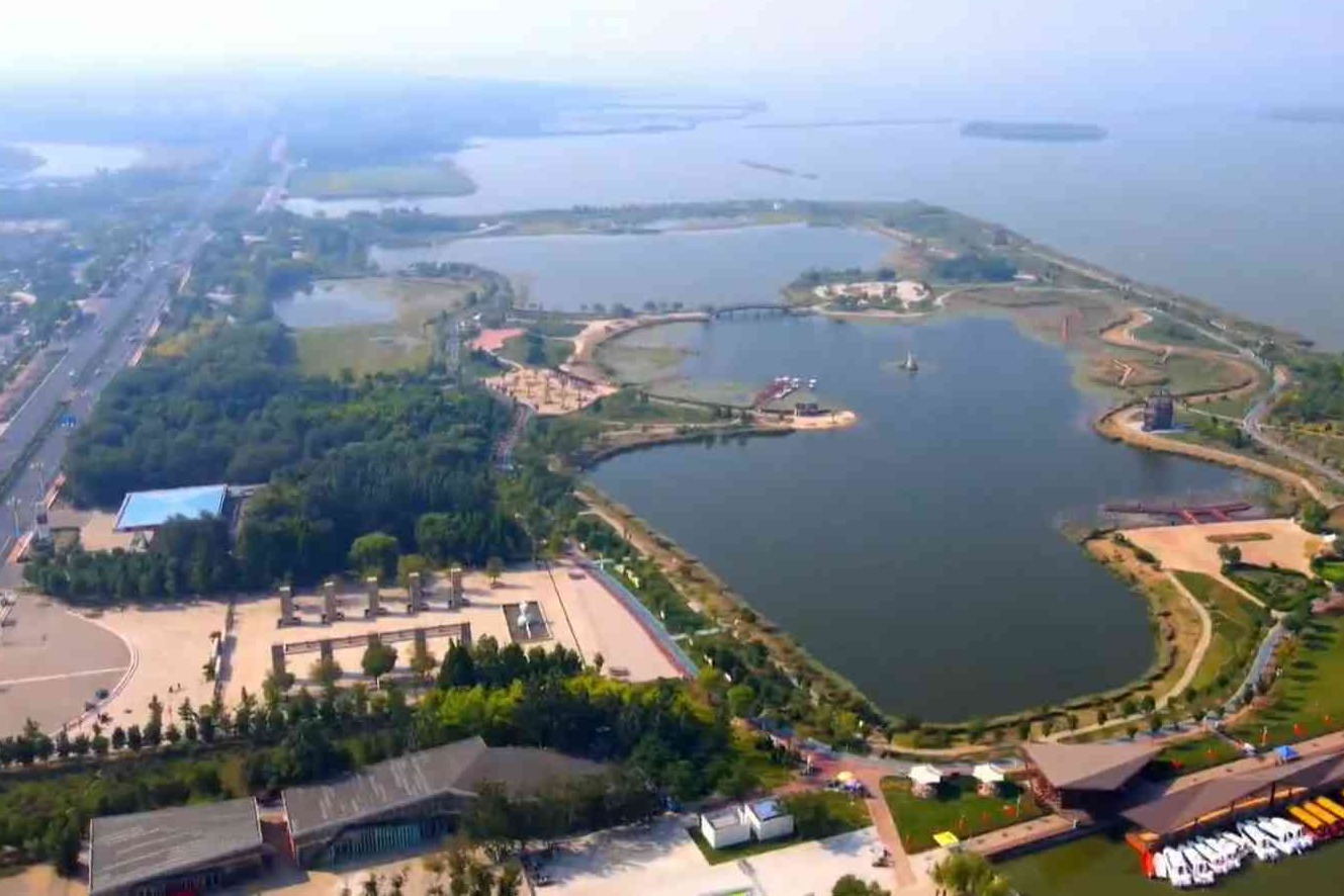 衡水湖千余琵嘴鸭上演“集体觅食秀”