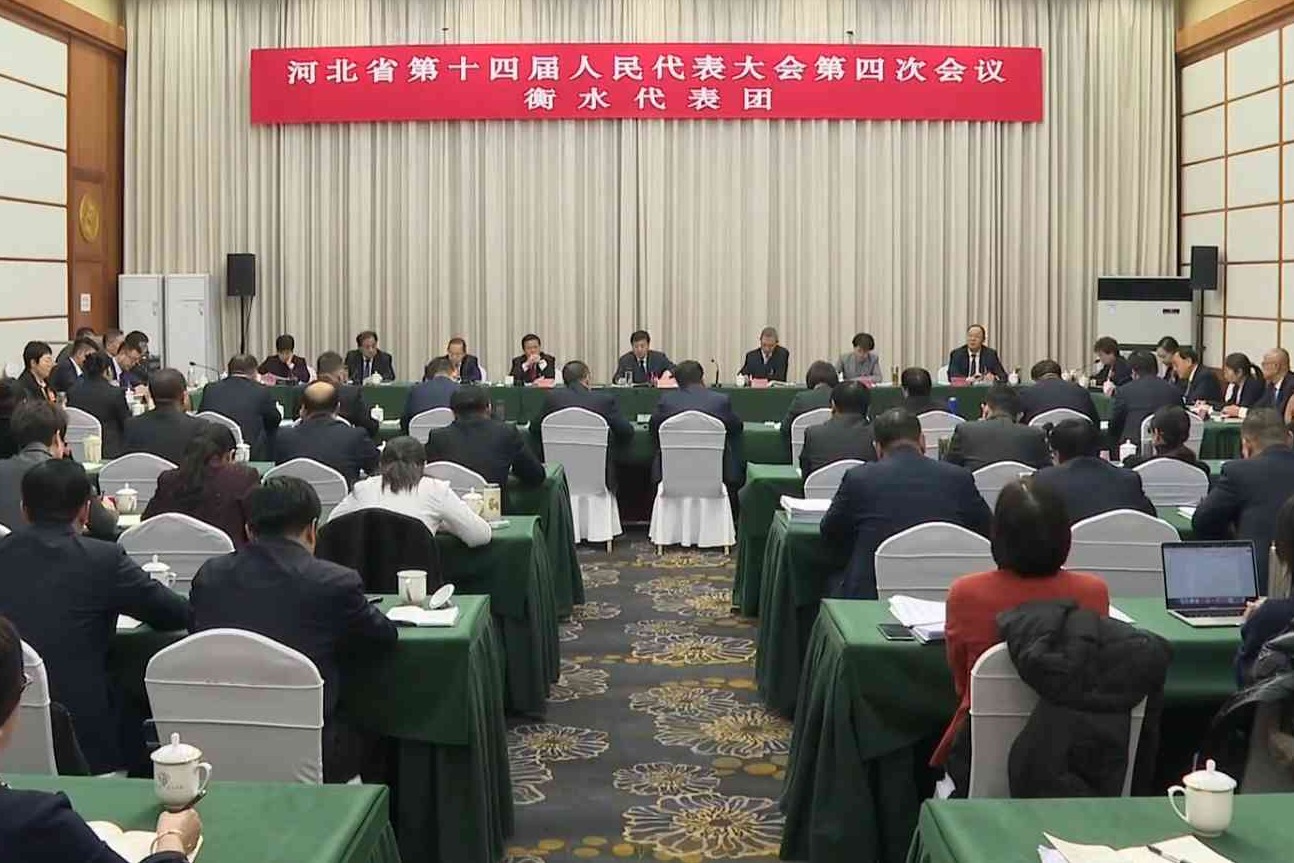 省十四届人大四次会议衡水代表团审议省政府工作报告