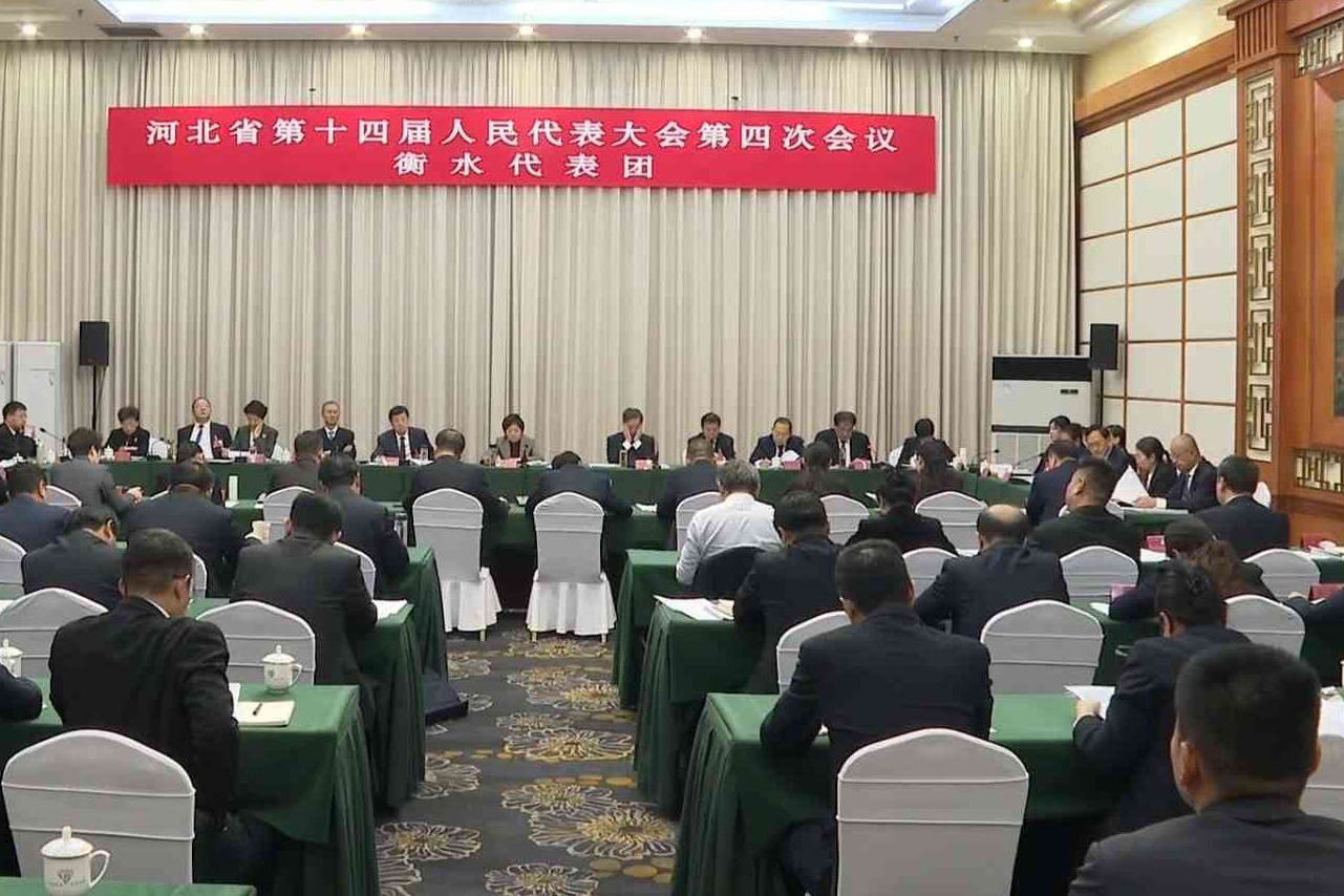 省十四届人大四次会议衡水代表团审议省人大常委会和省法检“两院”工作报告