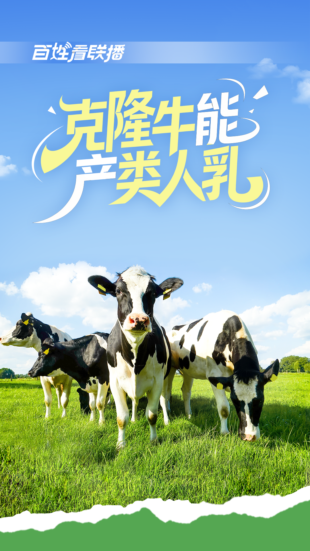 百姓看联播丨克隆牛能产“类人乳”