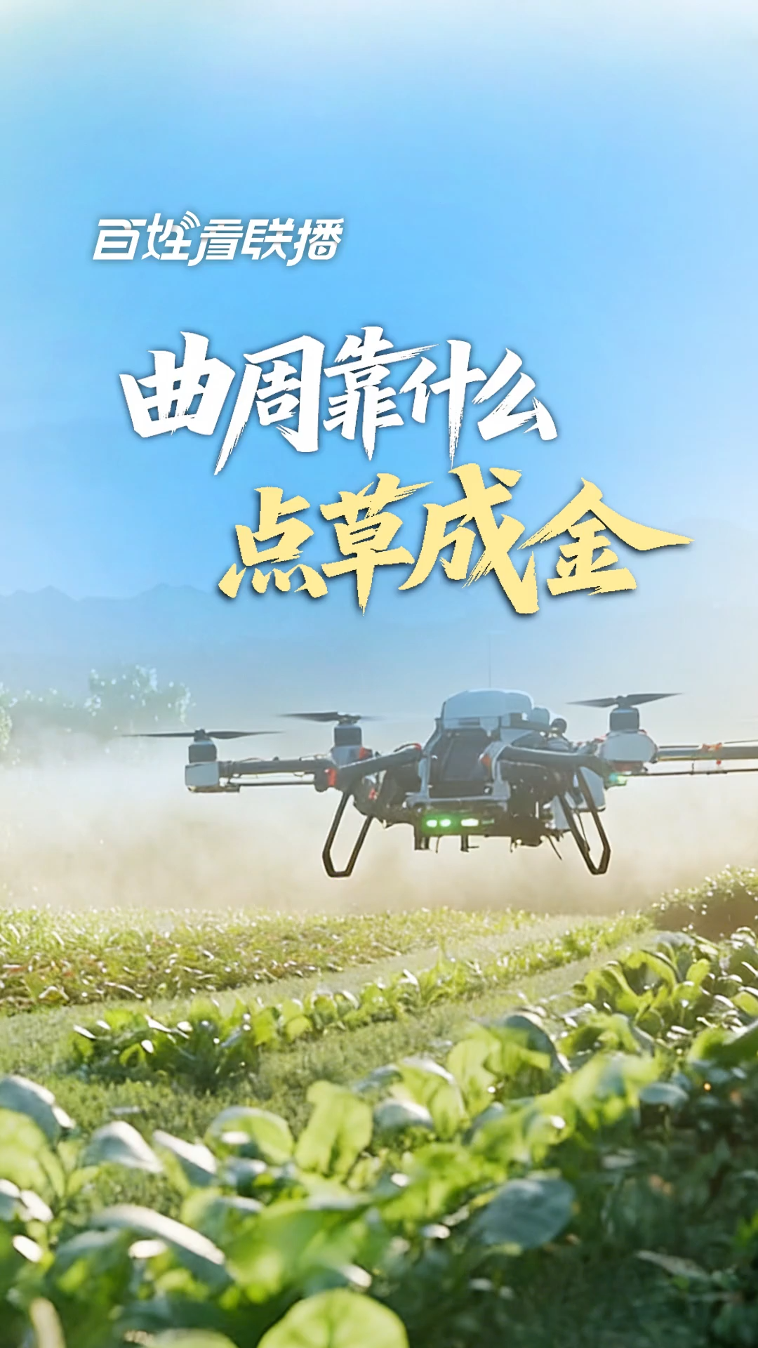 百姓看联播 | 曲周靠什么“点草成金”