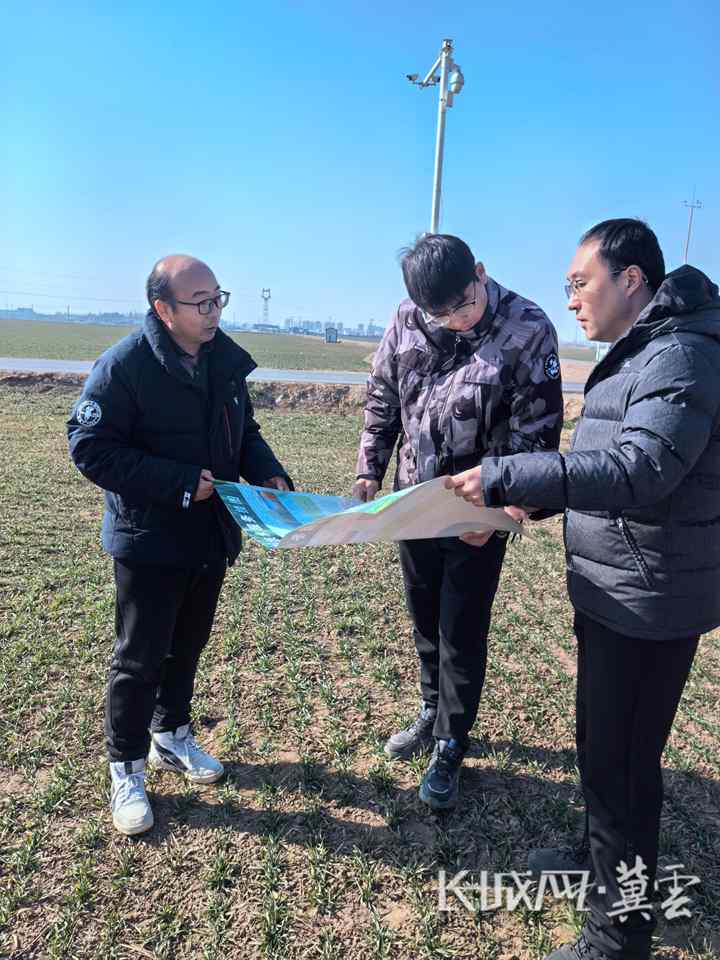 邢台市农业农村局工作人员到南和区阎里村查看小麦长势。长城网·冀云客户端记者 贾宏博 摄_副本